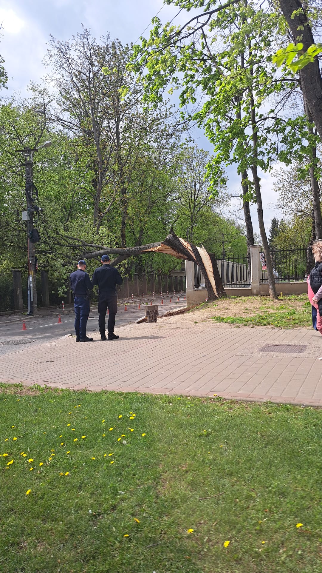furtuna iasi furtuna iasi