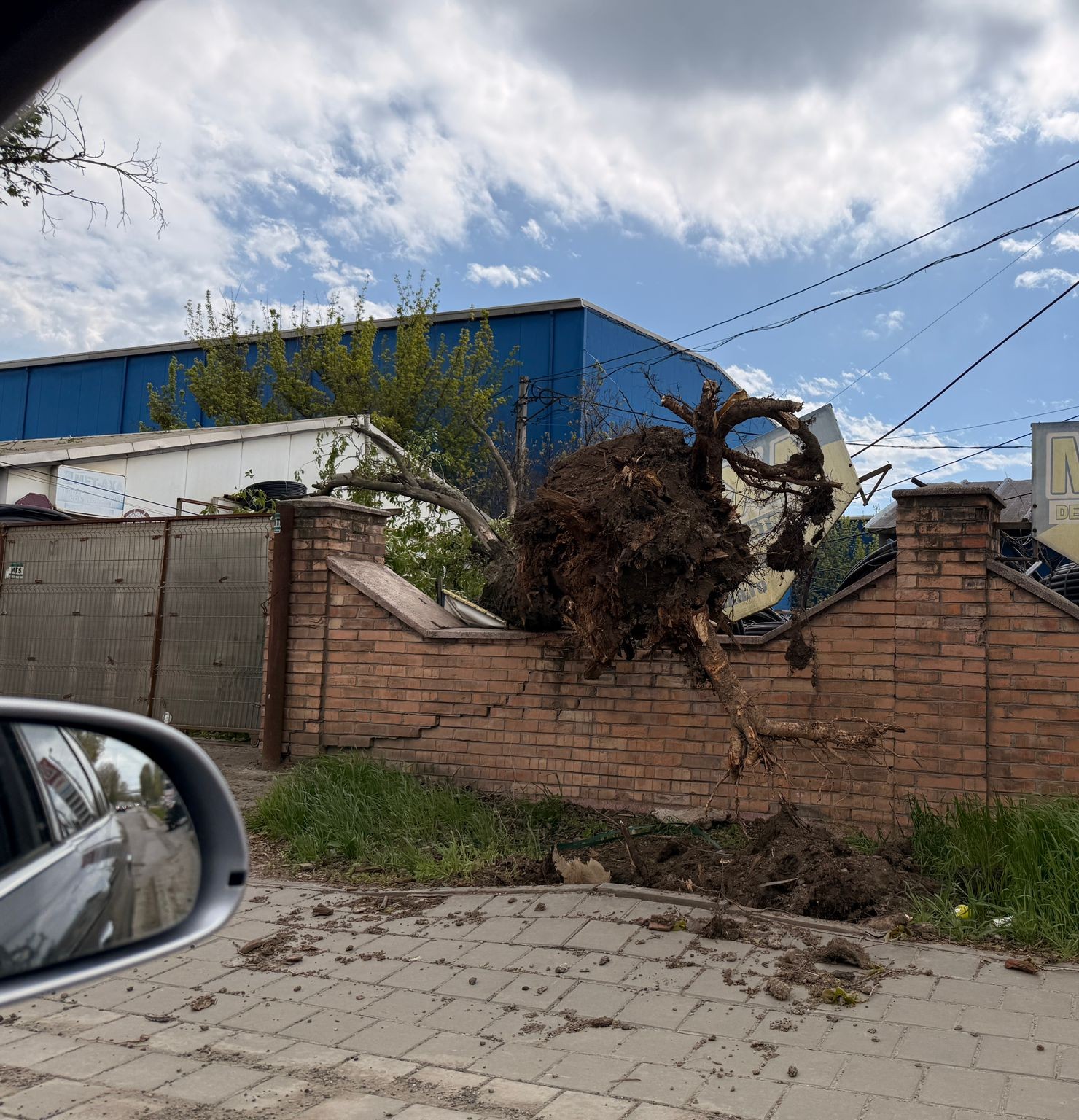 furtuna iasi (2)