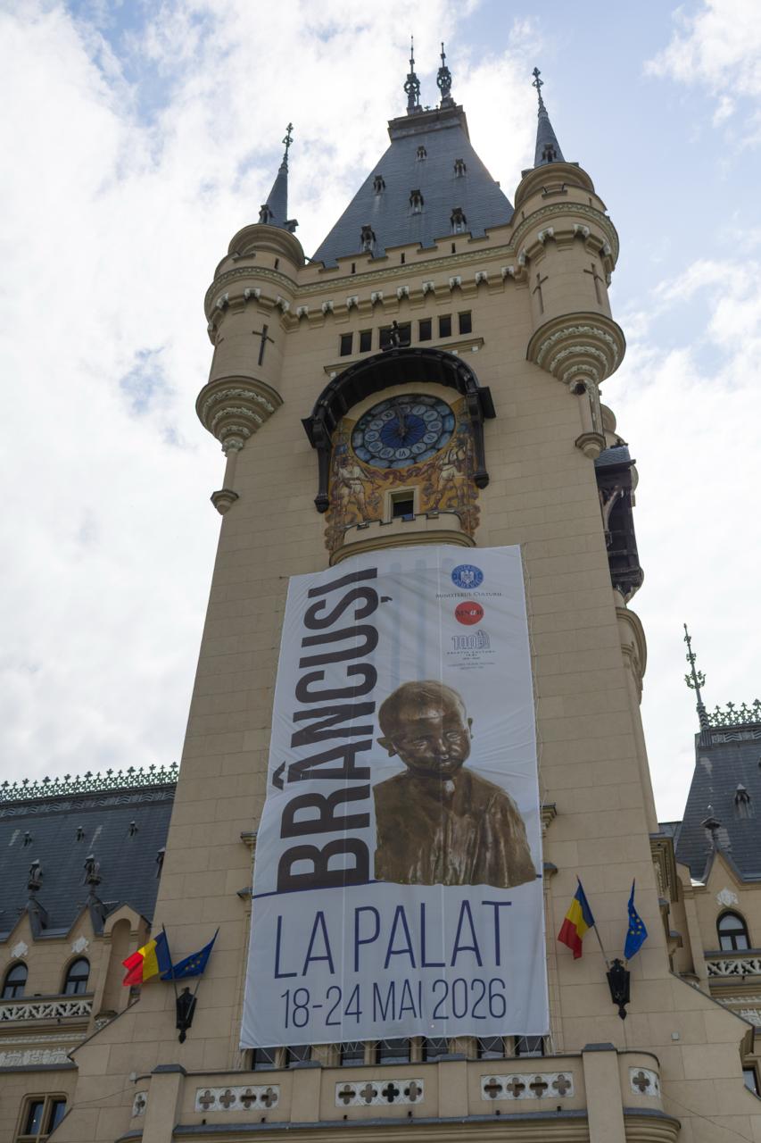 cap de copil brancusi palat iasi