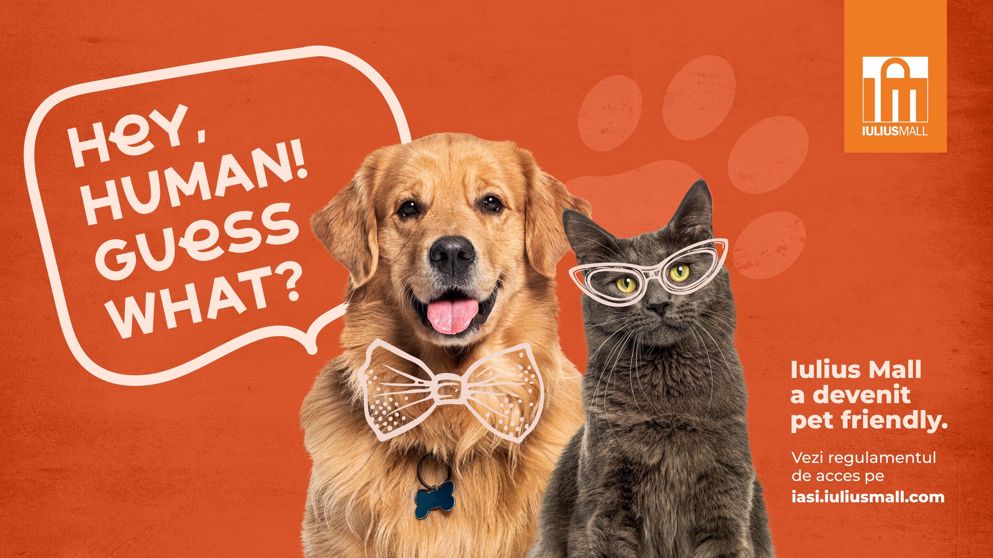 iulius mall pet friendly