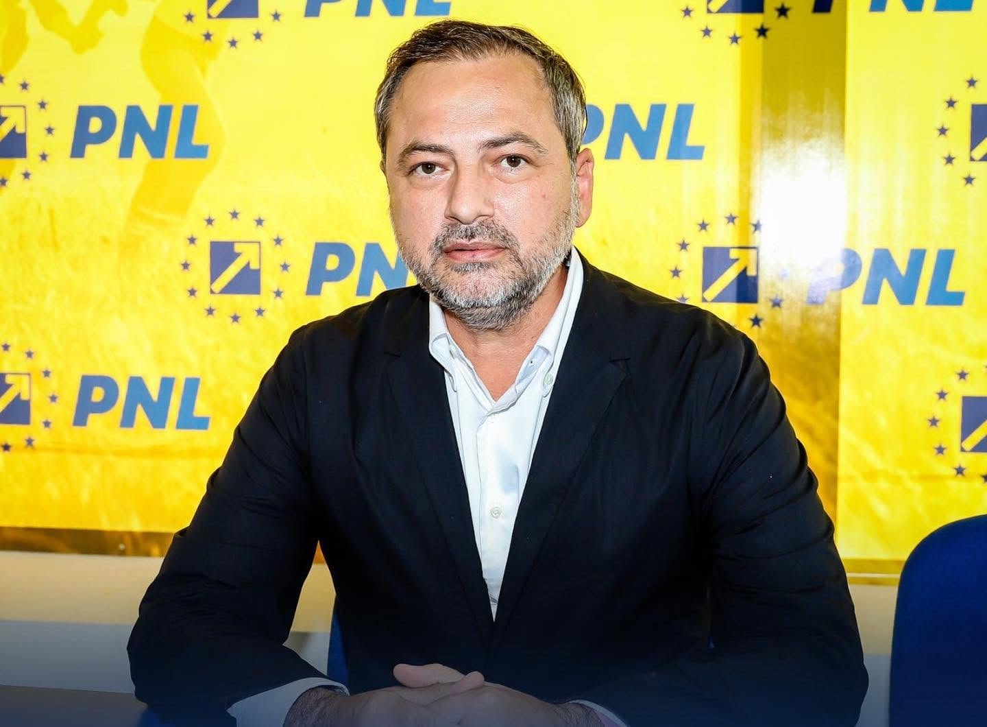 dan motreanu pnl