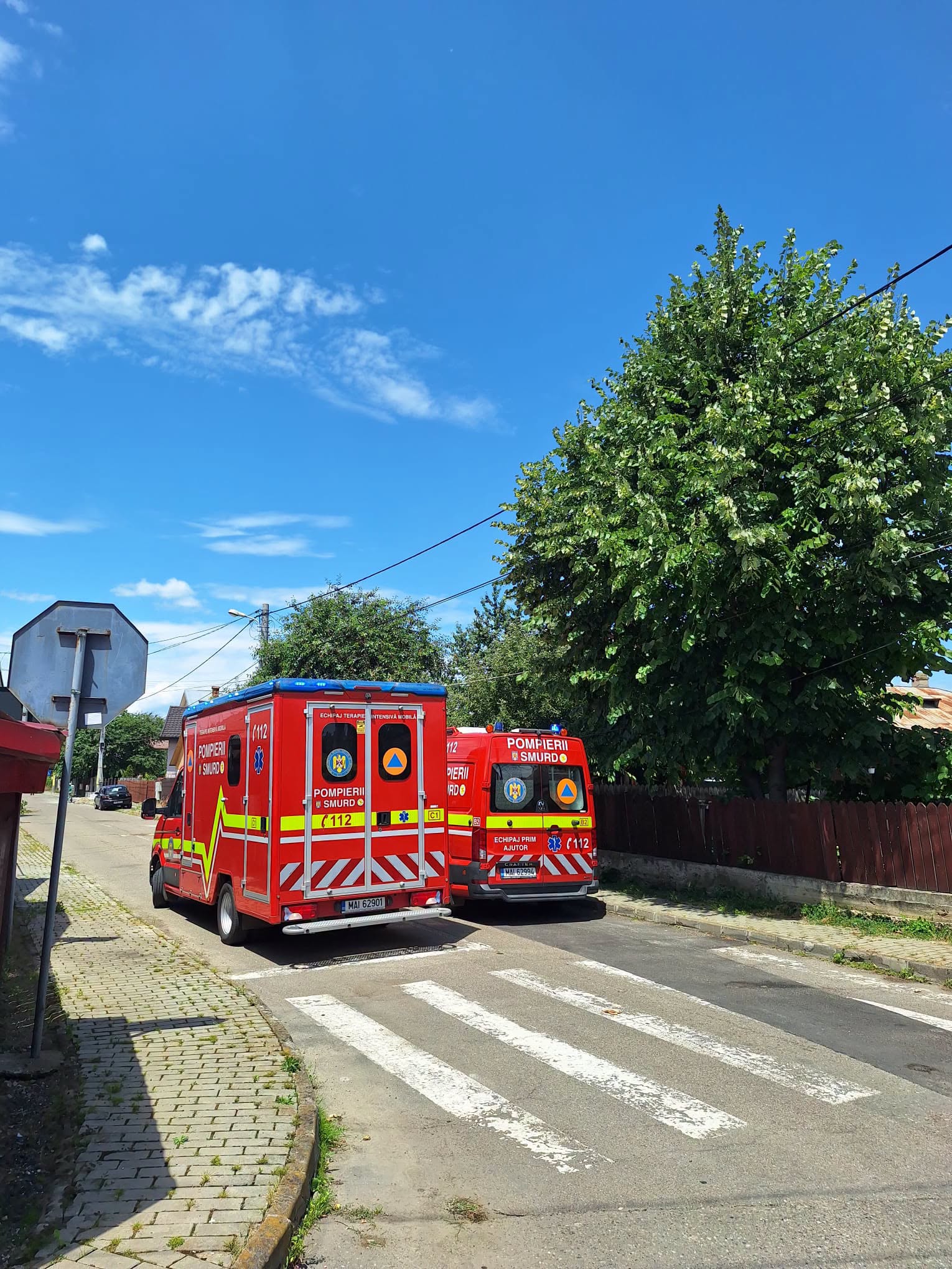 incendiu plopii fara sot