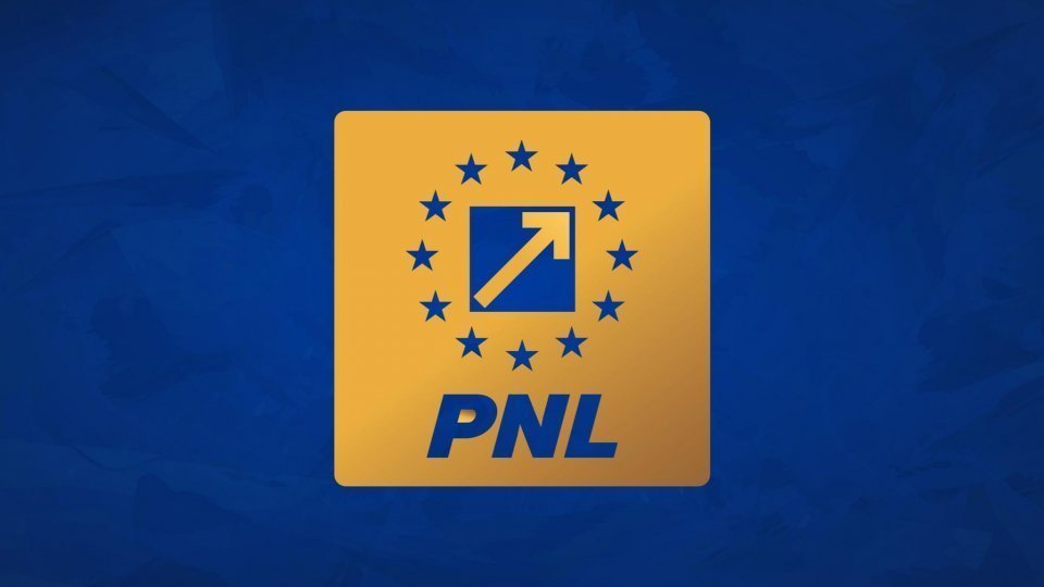 pnl replica sorin grindeanu