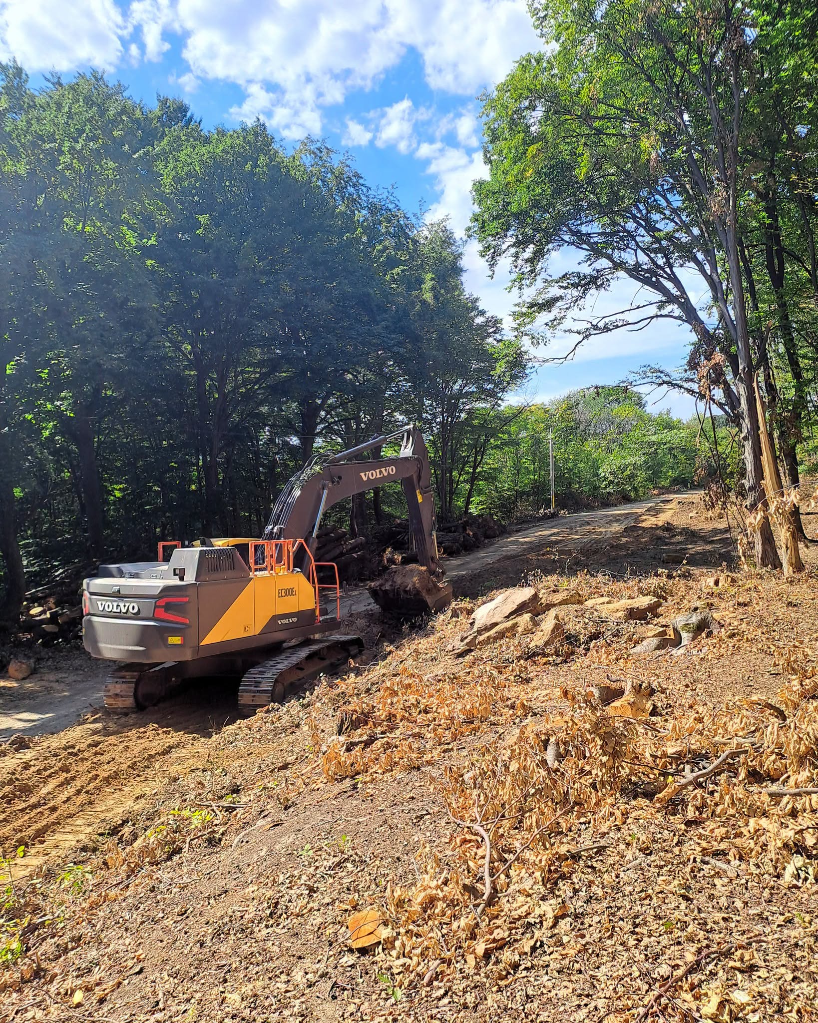 drum forestier ocolul silvic harlau iasi
