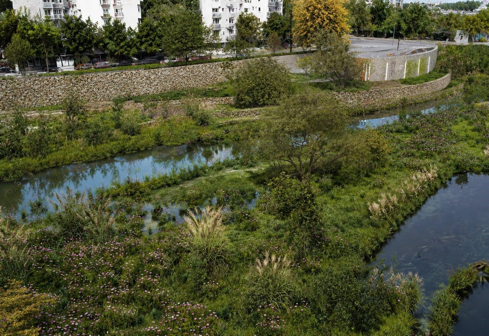 municipiul iasi delta urbana1
